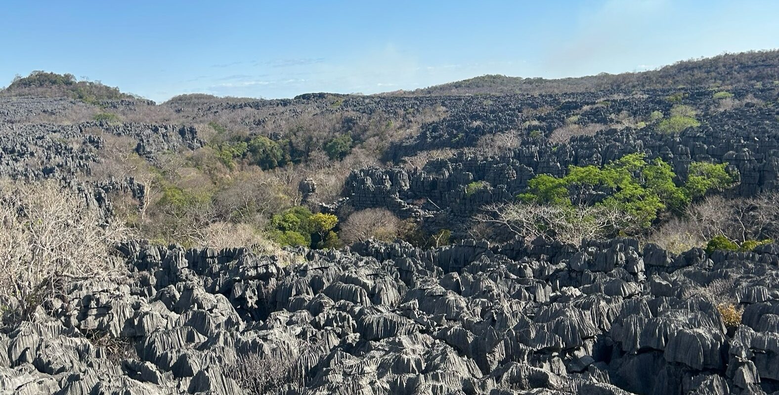 Réserve naturelle d’Ankarana
